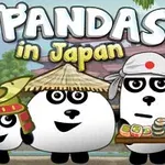 일본 전통 복장을 입고 서 있는 세 마리의 판다