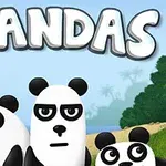 세 마리의 팬더가 배경의 섬과 배를 뒤로 하고 있는 이미지