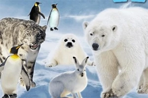 눈 덮인 배경에서 북극곰, 눈표범, 펭귄, 북극 토끼, 바다표범 등의 야생 동물들이 모여 있는 모습