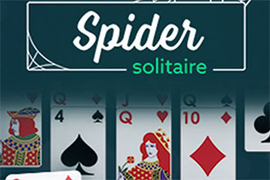 카드 한 벌이 펼쳐져 있으며, Spider solitaire라는 글자가 상단에 있는 이미지