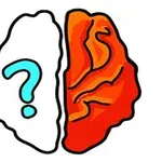 뇌의 좌뇌는 하얀색에 물음표가 있고, 우뇌는 오렌지색으로 색칠되어 있습니다