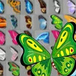 다양한 색상의 나비 날개들이 회색 배경에 배열되어 있고, 전면에는 초록색 나비 날개가 강조되어 있다