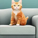 소파 위에 앉아 있는 오렌지색 고양이