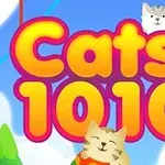 알록달록한 배경에 Cats 1010이라는 글자와 고양이 두 마리가 있는 이미지