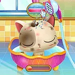 욕조에서 머리를 감고 있는 작은 고양이