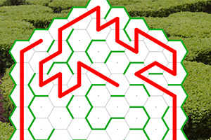 붉은색 선이 육각형 격자를 따라 매듭과 모양을 형성하고 있으며 배경에 녹색 식물이 보인다