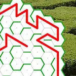 붉은색 선이 육각형 격자를 따라 매듭과 모양을 형성하고 있으며 배경에 녹색 식물이 보인다