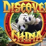 DISCOVER CHINA라는 글자와 함께 판다 두 마리가 있는 이미지