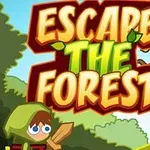 ESCAPE THE FOREST라는 문구와 녹색 후드를 입은 캐릭터가 나무와 숲을 배경으로 서 있는 모습