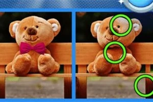두 장의 곰 인형 사진이 나란히 놓여 있고, 오른쪽 사진에는 차이점이 초록색 원으로 표시되어 있습니다