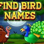 커다란 글자로 FIND BIRD NAMES가 쓰여진 배경에 칠면조와 공작새가 그려져 있는 이미지