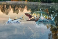 물고기비에서 큰 물고기를 잡을 시간!