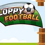 축구공과 FLOPPY FOOTBALL 텍스트가 있는 초록색 배경의 로고 이미지