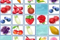 과일 연결에 도움이 필요해요!