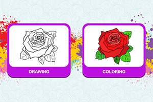 한쪽에는 검정색 선으로 그린 장미 그림이 있고 다른 쪽에는 색칠된 장미 그림이 있습니다