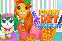 애완동물의 변신이 필요해요