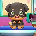 병원 환경에서 작은 강아지가 진료대 위에 앉아 있는 모습