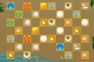 바닷가 모래 위에 다양한 색상과 모양의 조개와 별 모양이 격자무늬 배열로 놓여 있다