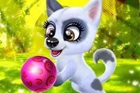 귀여운 강아지를 돌보고 그녀만의 스타일을 만들어주세요!