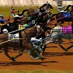 경주마들이 경주 트랙에서 각기 다른 색상의 마복을 입은 기수들과 함께 달리고 있다