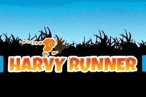하늘색 배경에 검은 풀과 주황색 글씨 HARVY RUNNER가 있는 이미지