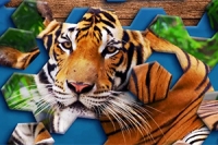 Hexa 조각 맞추기는 혁신적이고 재미있는 헥사 퍼즐 게임