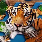 색색의 육각형 조각들로 구성된 호랑이 얼굴 이미지