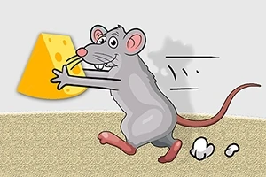 회색 쥐가 치즈 조각을 들고 뛰어가는 모습
