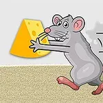 회색 쥐가 치즈 조각을 들고 뛰어가는 모습