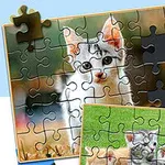 귀여운 고양이 사진이 퍼즐 조각으로 구성된 이미지