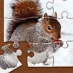 퍼즐 조각으로 이루어진 다람쥐 이미지