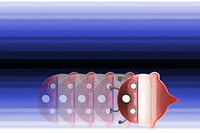 공중에서도 뛰어오르며 날아오는 물고기를 피하세요