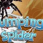 점프하는 거미와 흩어진 카드 위로 Jumping Spider라는 파란색 글자가 있는 이미지