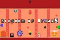 닌자의 왕국 5, 닌자 시리즈 다섯 번째 이야기