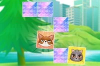 얼마나 많은 고양이를 찾을 수 있나요?