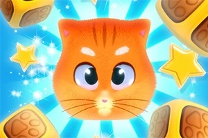 귀여운 오렌지색 고양이 얼굴과 주변에 있는 노란 별과 주사위