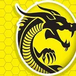 노란색 육각형 배경에 검정 용의 실루엣 이미지