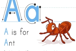 큰 A와 작은 a 글자, 개미 그림, A is for Ant라는 텍스트가 있는 교육용 이미지