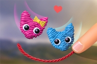 예쁜 양모 고양이들이 함께할 수 있게 도와주세요!