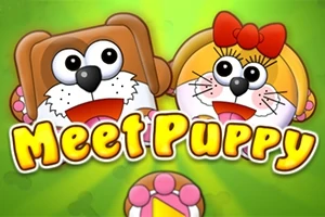 강아지 얼굴을 한 두 개의 귀여운 캐릭터가 초록색 배경 위에 있으며 Meet Puppy라는 글자가 적혀 있습니다
