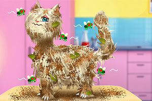 더러워진 고양이가 몸에 나뭇잎과 흙을 붙이고 있으며 파리들이 주변을 날고 있다