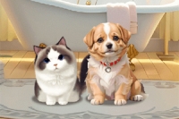 이 더러운 펫들이 당신의 도움이 필요해요