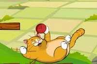 귀여운 고양이가 빨간 털실을 되찾도록 도와주세요 - 그저 놀고 싶어해요!