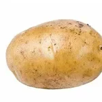 흰색 배경에 놓여 있는 하나의 감자