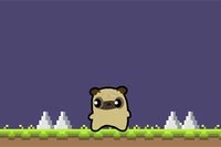 푸그 러브 모험이 오늘 시작됩니다!