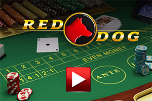 녹색 카지노 테이블 위에 칩과 카드가 놓여 있으며 Red Dog 로고가 중앙 상단에 있는 이미지
