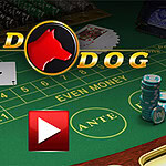 녹색 카지노 테이블 위에 칩과 카드가 놓여 있으며 Red Dog 로고가 중앙 상단에 있는 이미지