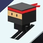 검은색과 빨간색 머리띠를 착용한 픽셀 스타일의 닌자가 스노우 레일을 타고 있는 모습입니다