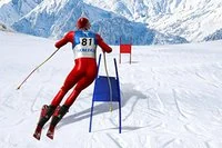 슬라롬 스키 시뮬레이터는 12가지 난이도를 제공합니다