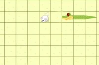 맵을 돌아다니며 뱀을 이끌어 먹이를 찾고 장애물을 피하세요